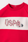 U.S Polo Assn Erkek Bebek 2'li Alt Üst Takım Kırmızı USB3175
