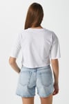 Kadın Creative Antrasit Nakışlı Crop T-Shirt