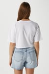 Kadın Creative Mavi Beyaz Nakışlı Crop T-shirt