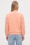 Kadın New Cozy Polarlı Basic Bisiklet Yaka Pamuklu Örme Somon Sweatshirt