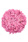 1 Paket Pembe Balon Pulu Balon Içi Pul Konfetisi 10 Gram Konfetili Balon Zinciri Şeffaf Balon Pulu