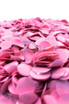 1 Paket Pembe Balon Pulu Balon Içi Pul Konfetisi 10 Gram Konfetili Balon Zinciri Şeffaf Balon Pulu