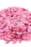 1 Paket Pembe Balon Pulu Balon Içi Pul Konfetisi 10 Gram Konfetili Balon Zinciri Şeffaf Balon Pulu