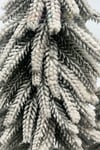 3lü Lüx Masa Çamı 40x30 Cm Karlı Gerçek Ağaç Görünümlü Yılbaşı Çam Ağacı Yeni Yıl Ağaç Dekoru