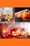 Beyaz Örümcek Ağı Ve Küçük Örümcek Seti Yapay 20 gr Halloween Cadılar Bayramı Partisi Ağ Dekor Süs