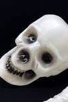 Beyaz Renkli Dekoratif Iskelet Seti Halloween Partisi Cadılar Bayramı Omurga Kafatası Ayak Kemiği