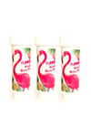 Flamingo Figürlü Temalı 3lü Köpük Balon Flamingo Karakter Konseptli Köpük Baloncuk 60 Ml
