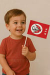 Küçük Boy 10 Adet Çubuklu Kağıt Atatürk Çıtalı Sopalı Saplı Ay Yıldız Baskılı Milli Bayrak 25x20 Cm