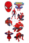 Örümcek Adam 8 Adet Geçici Çocuk Dövmesi Doğum Günü Parti Renkli Tattoo Dövme Spiderman Konsepti