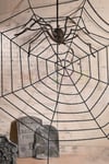 Siyah Örümcek Ağı 2.5 X 2.5 Metre Halloween Partisi Cadılar Bayramı Şaka Ürünü Mekan Süsleme Süsü