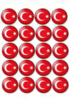 Türk Bayraklı 20li Metal Göğüs Yaka Rozeti 3.5x3.5 Cm Kancalı Iğneli 23 Nisan 29 Ekim Milli Bayram