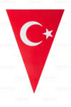 Türk Bayraklı Ve Atatürklü 2li Flama Seti Üçgen Bayrak 180 Cm Milli Bayram Süsü 23 Nisan 29 Ekim