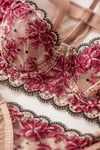 Aysha Kırmızı Nakışlı Bralet Sütyen ve Tanga İç Çamaşır Takımı