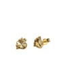 Acar Gold Altın Küpe - KP05071