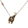 Acar Gold Gümüş Kolye - KL00667S