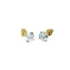 Acar Gold Gümüş Küpe - KP07141S