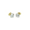 Acar Gold Gümüş Küpe - KP07142S