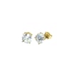 Acar Gold Gümüş Küpe - KP07143S