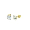 Acar Gold Gümüş Küpe - KP07144S