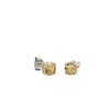 Acar Gold Gümüş Küpe - KP07362S