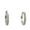 Acar Gold Gümüş Küpe - KP07469S