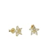 Acar Gold Gümüş Küpe - KP07483S