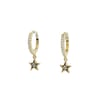 Acar Gold Gümüş Küpe - KP07508S
