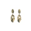Acar Gold Gümüş Küpe - KP07679S