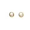 Acar Gold Gümüş Küpe - KP07681S