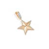 Yıldız Charm