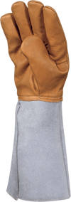 CRYOG