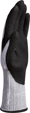 VECUTF01