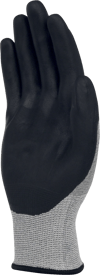 VENICUTB07