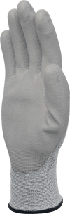 VENICUTB08