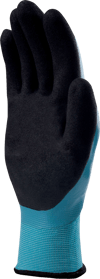 VV636