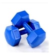 CAN SPORT Dambıl Seti 4 Kg X 2 Adet 8 Kg Köşeli Mavi Plastik Ağırlık setiCan SportCAN-4KG