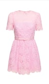 Kısa Kollu Kemerli Güpür Pembe Mini Elbise