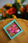 Barbie Girl Beşli Set Toka Pembe