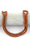 Rudraksha Tohumu Dizi 6 x 7 mm Rondel Kesim