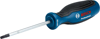 Bosch Profesyonel Torx Tornavida TX25x100