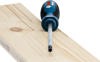 Bosch Profesyonel Torx Tornavida TX40x125