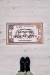 Hogwarts Express Paspas