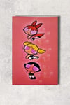 Ppg Kırmızı Ahşap Poster