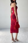 Red Rose Tulle Elbise