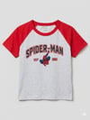 Reglan Spider 1962 Tam Boy Bluz