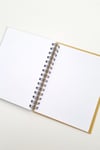 Telli Flamingo Haftalık Planlayıcı Defter