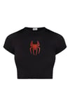 Tiny Red Spider Crop