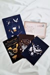 Yule Ball Postcard