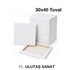 30x40 cm tuval