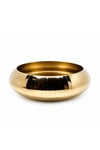 AURELIA GOLD KASE